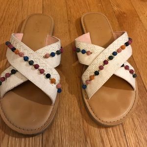 TOMS VIV SLIDES
